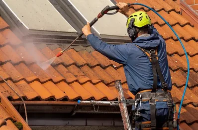 Démoussage et hydrofuge de toiture à Ploemel
